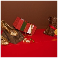 507-fratticioli-foto-cioccola-to-mostra
